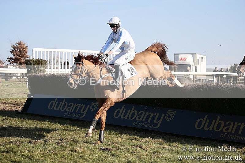 PtP 240218 398 - Vine & Craven Hunt Point-to-Point Barbury racecourse 24/02/18