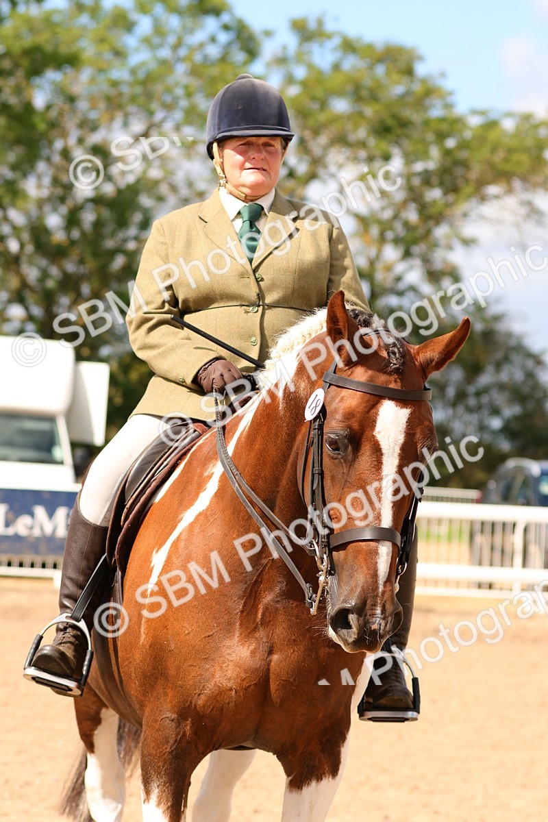 SBM_13221 - Class 211 - Ridden Hunter - Small