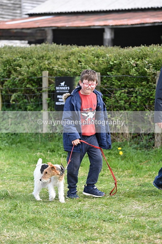 WJ5_0760 - Best in Show Championship