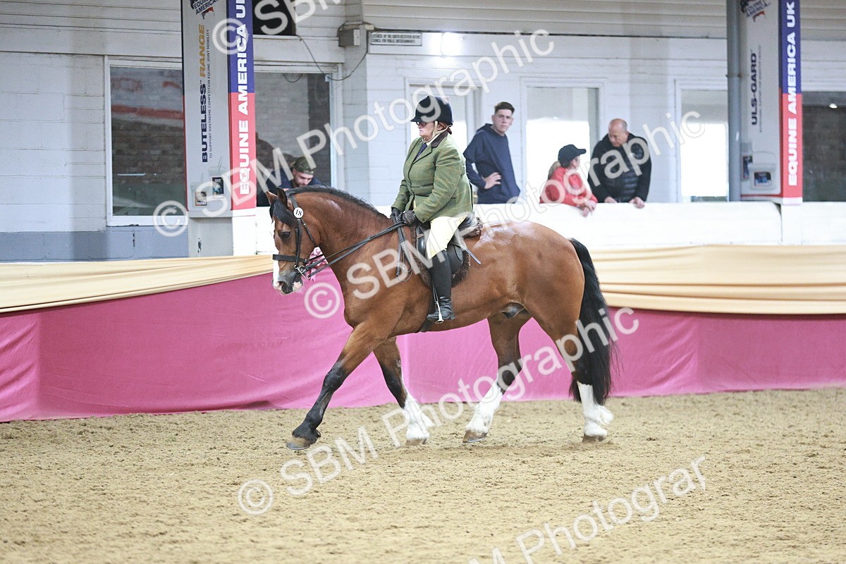 SBM_08945 - Class 12R - Regional Ridden Pre-Vet