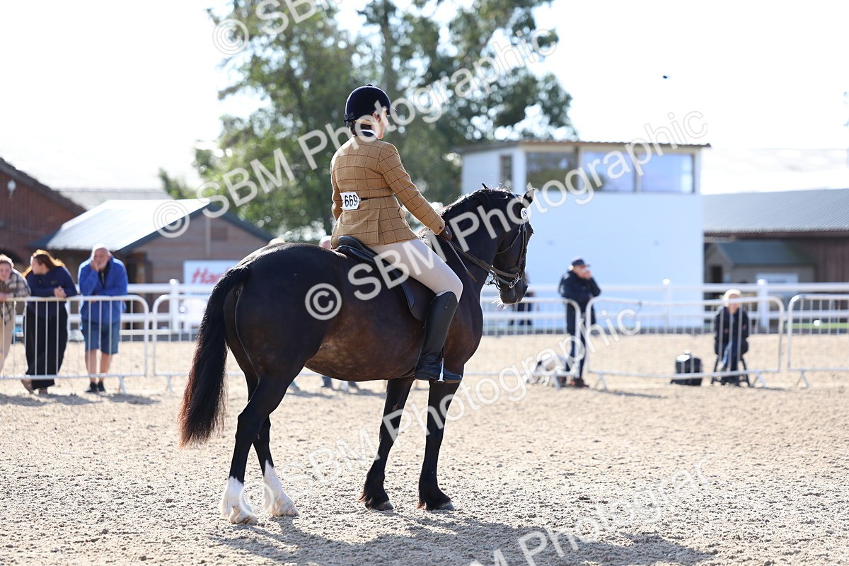 SBM_08917 - Class 302 - Ridden M&M - Large Breeds