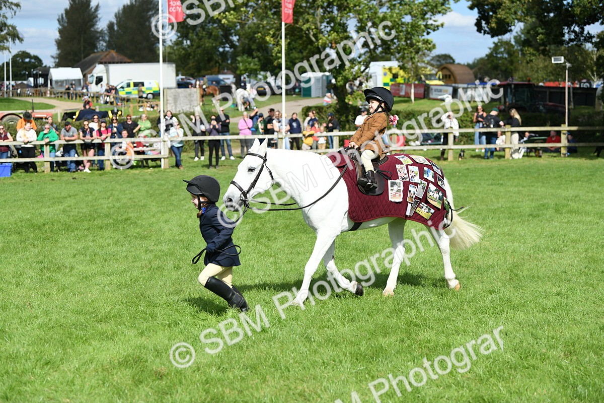 SBM_46786 - S12 - Family Horse & Pony