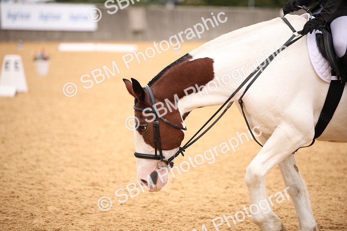SBM_09146 - D8 Small Tour Championship Prelim 7