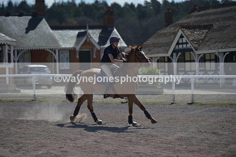 NGP_8003 - XC Time 13:22 to 13:28