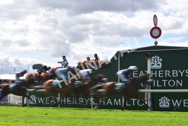 yr19082022r2-32 - Race 2 2.25pm Weatherbys Hamilton Lonsdale Cup (British Champions Series Race)