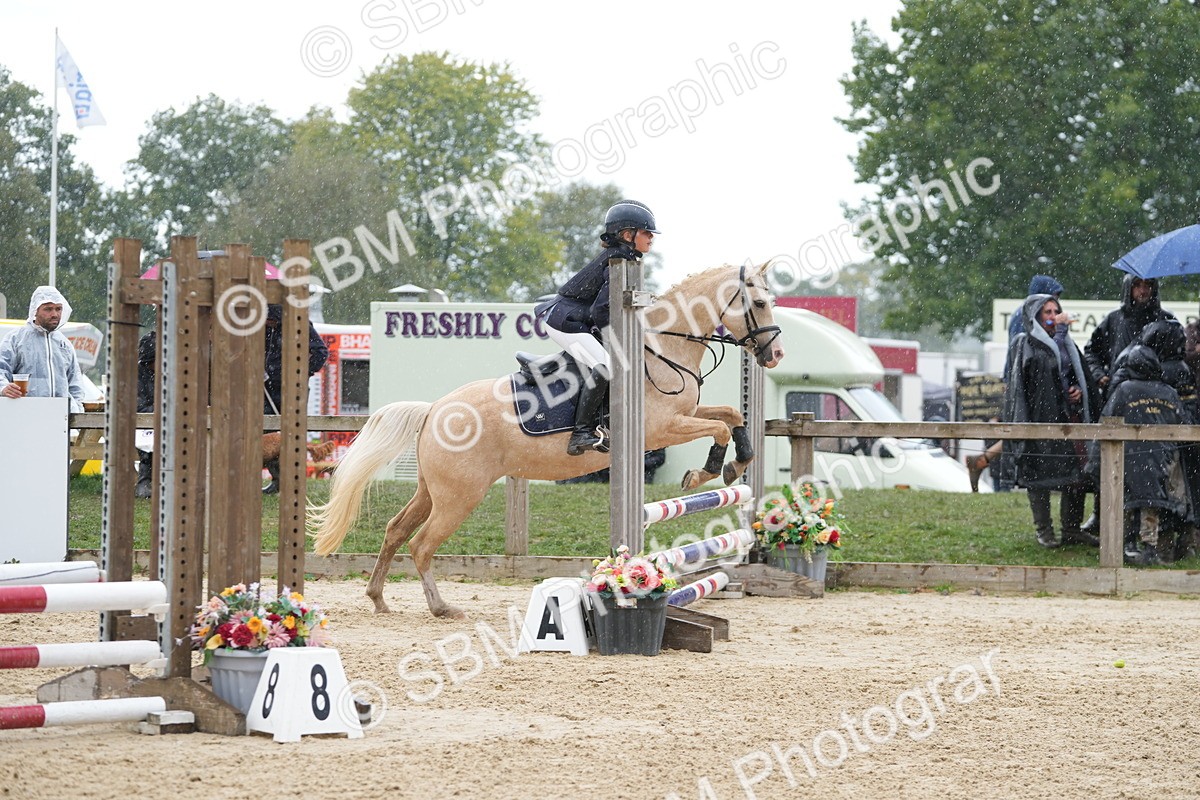 SBM_43318 - J7 - Junior Pony 60cm Championship