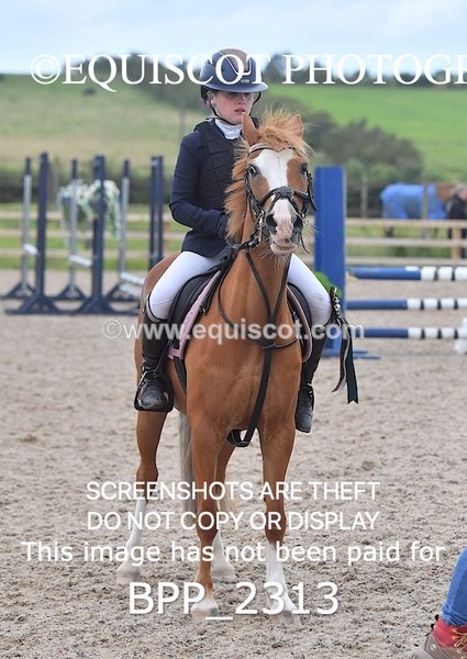 BPP_2313 - DERBY CLASS 6 - 70CM