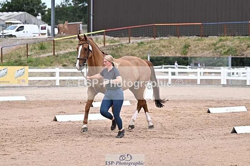 250716-133408-00576 - Trot Up 1.30 to 2.30