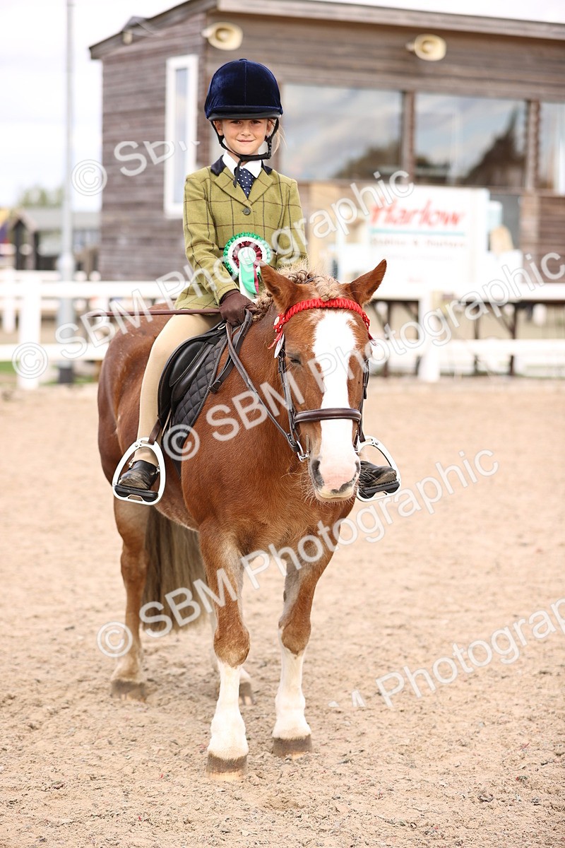 SBM_16181 - Class 420 - Horse-Pony Judge would most like to take home (IH or Ridden) Jnr