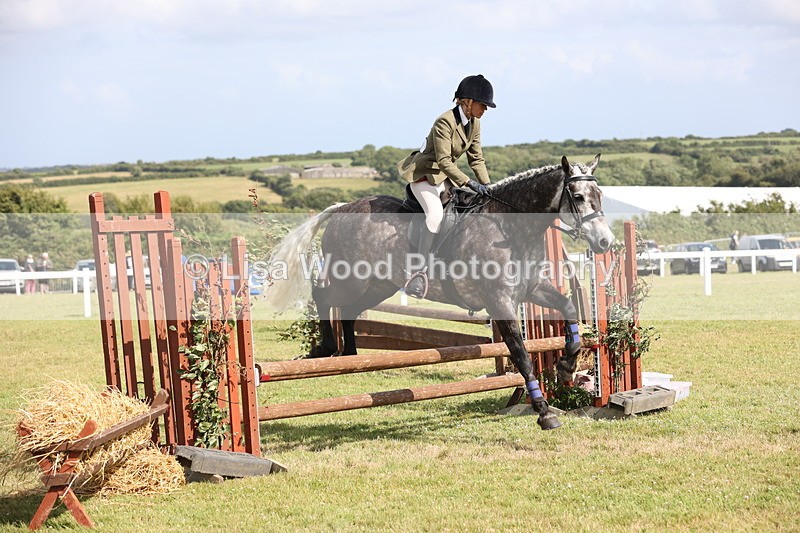 JPP_2602 - Class 20: Working Hunter 70cm