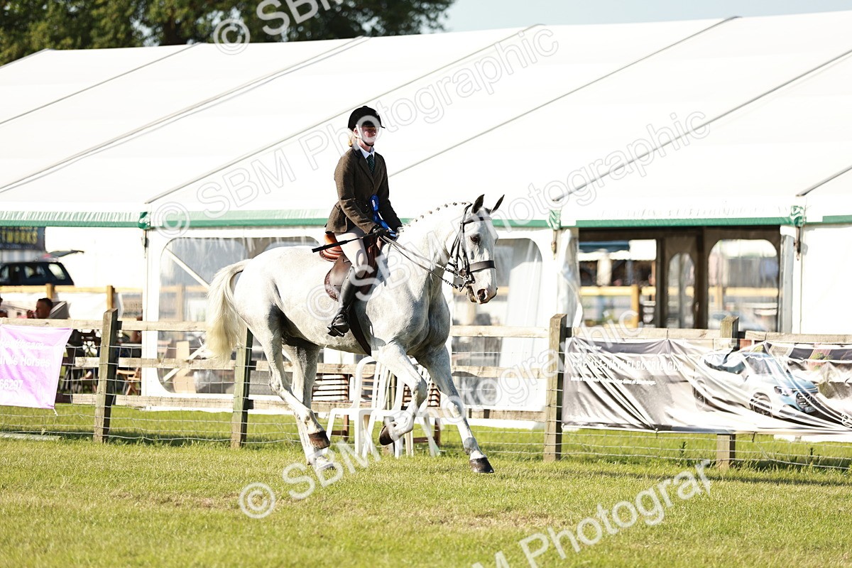 SBM_20059 - Class 115-116 - LIHS BSHA Rising Star Working Hunter & Show Horse