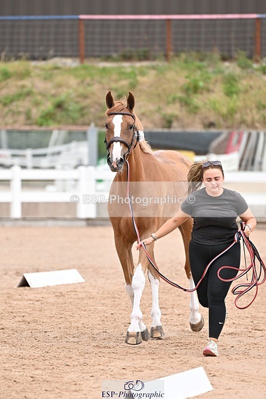 250716-140008-00854 - Trot Up 1.30 to 2.30