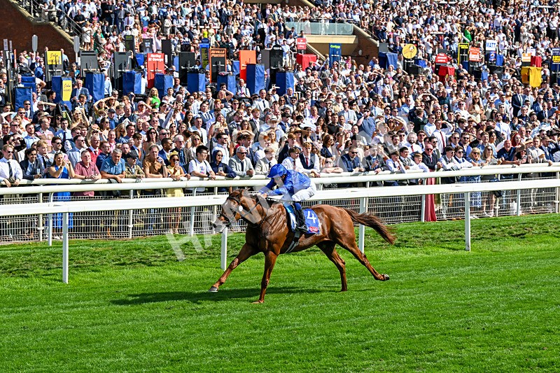 220826-Race 3-Notable Speech-0363 - Race 3 15.00pm Sky Bet City Of York Stakes