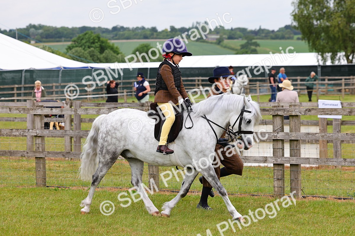 SBM_08096 - Class 42-43 - LIHS BSPS Heritage Working Sports Pony