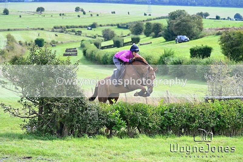 WJ7_7387 - Edited Examples