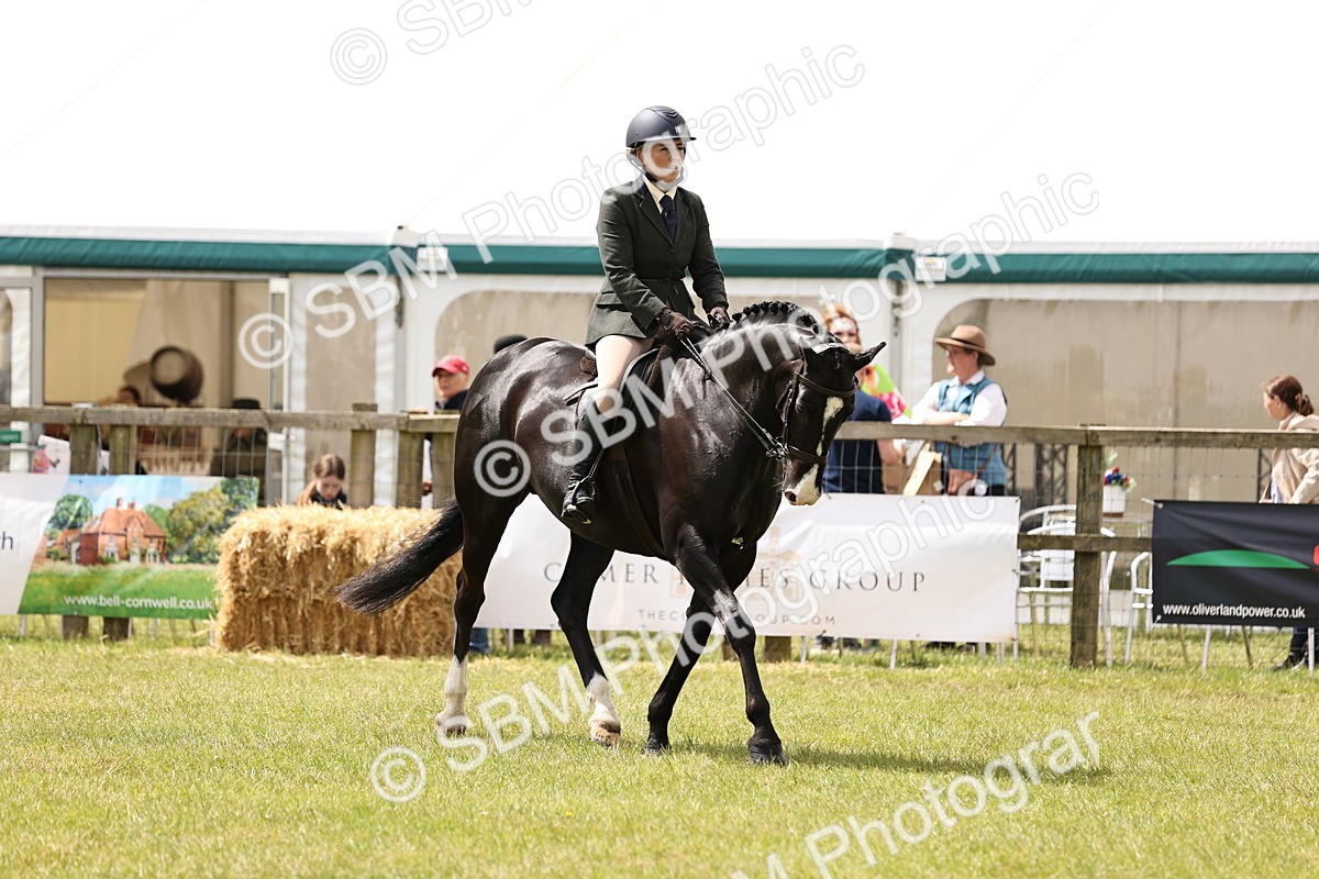 SBM_14577 - Class 88-89 - LIHS BSHA Rising Star of Ridden Hunter Type
