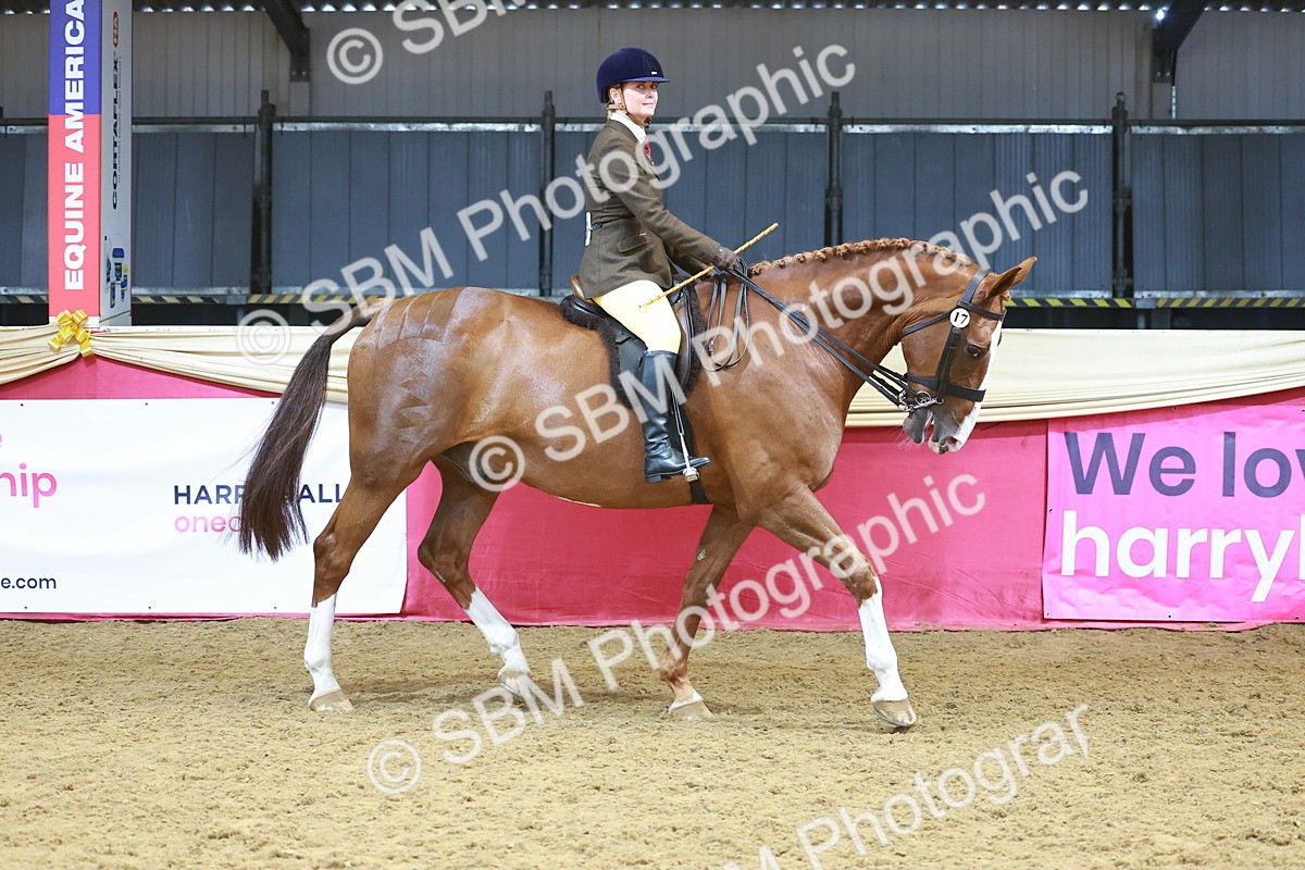 SBM_12474 - Class 103 - HOYS Veteran Qualifier - Ridden Pre Vet