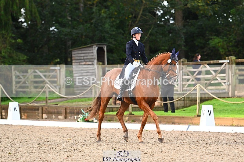 231021-090240-12745 - 322-BALLYBOLGER.LIONMAN-Sarah.Perry-DR