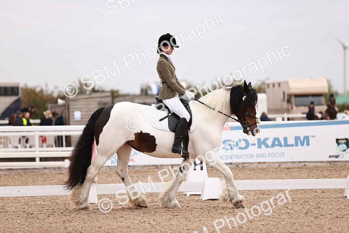 SBM_01694 - Class 34 - Prelim 3