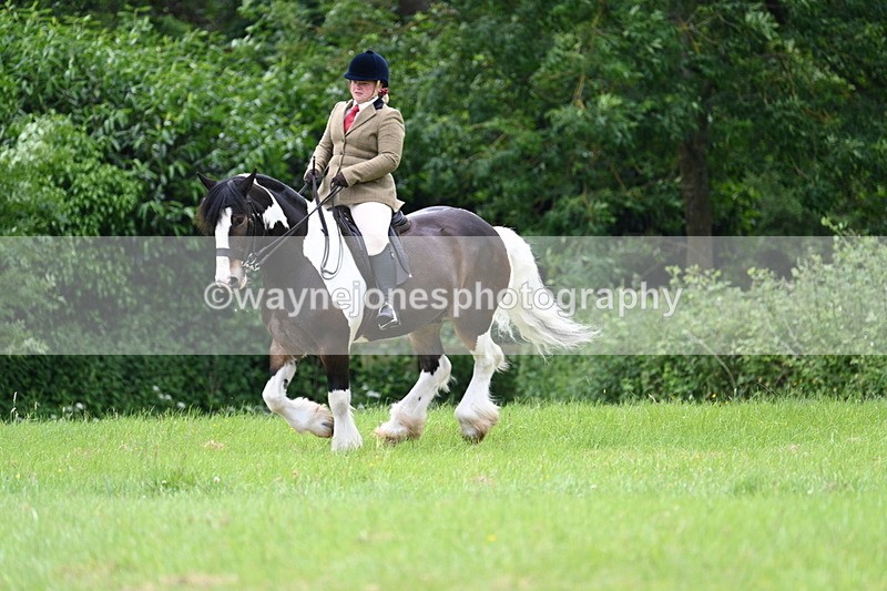 WJ7_2349 - Class 12A Coloured Class