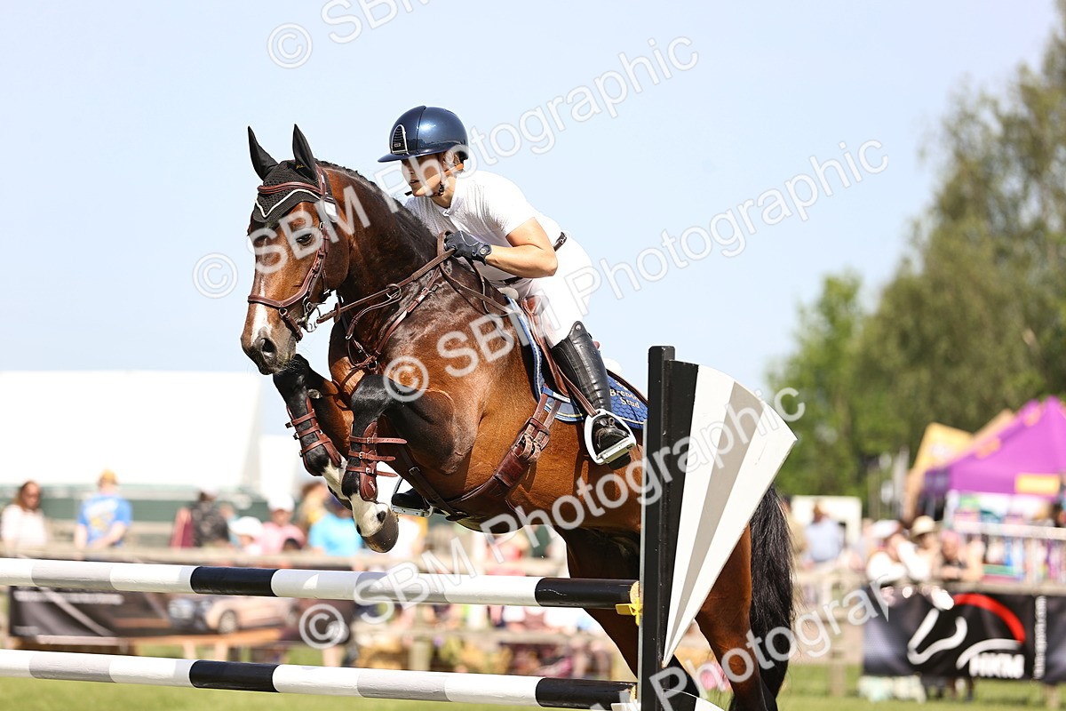 SBM_03027 - Class 201 - British Horse Feedds Speedi Beet HOYS Grade C