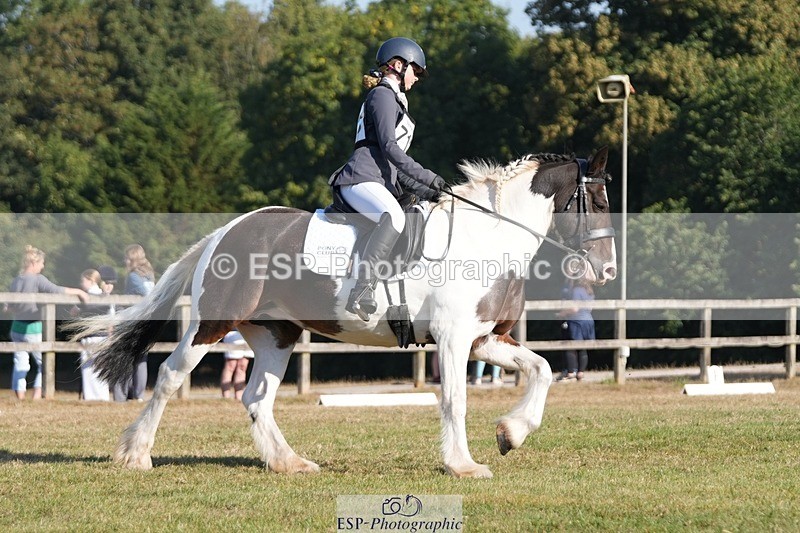 250823A-091436-25650 - Arena A