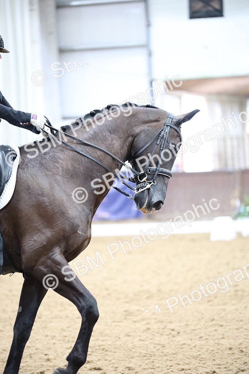 SBM_004674 - Class 9 - FEI Inter 1 Gold - 16.59-17.47