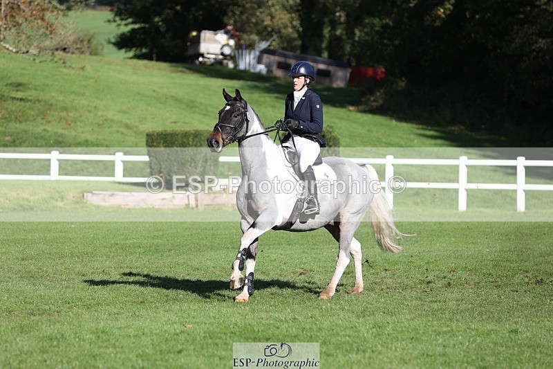 231022-110826-24977 - 622-CRAFTY.WIZARD-Heather.Urquhart-TrotUp+SJ