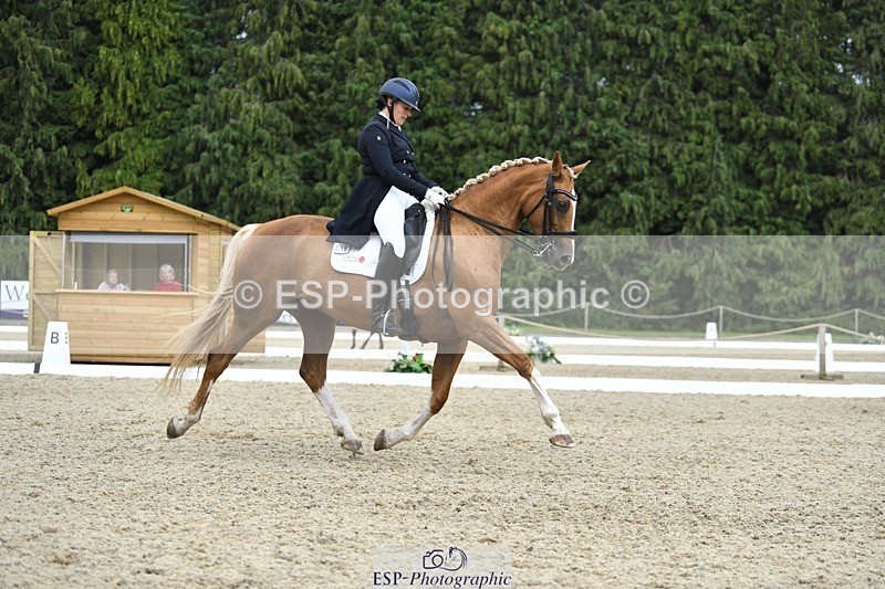 230812-143950-04756 - Cls 7 FEI PSG Bronze