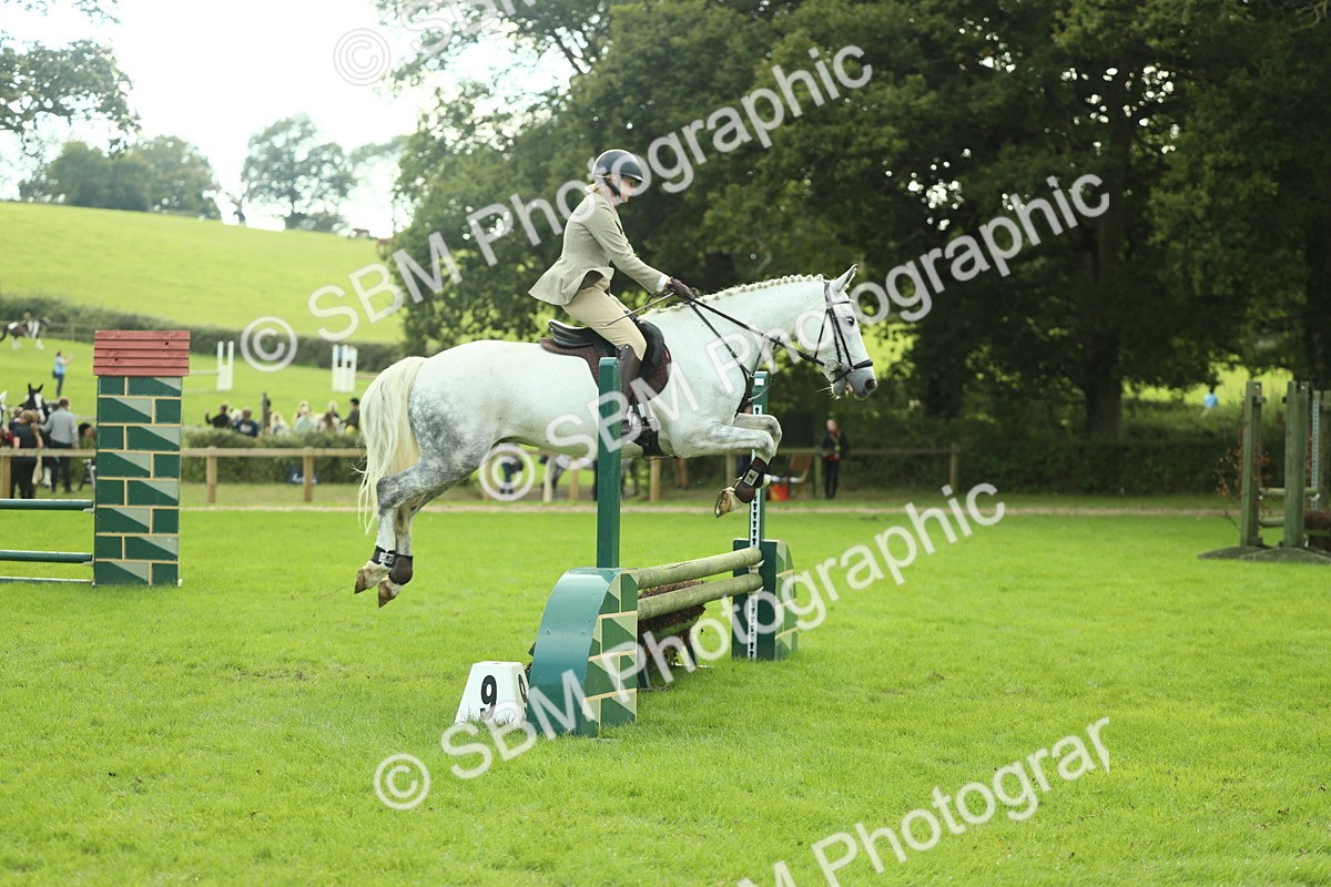 SBM_47996 - S32 - Novice & Newcomers Working Hunter