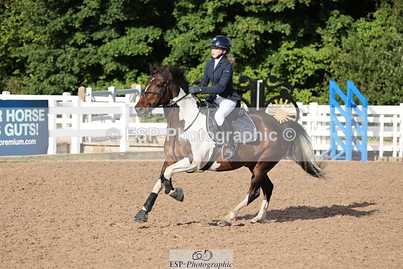 240629A-074750-02242 - Cls 16 British Novice and 80cm Open
