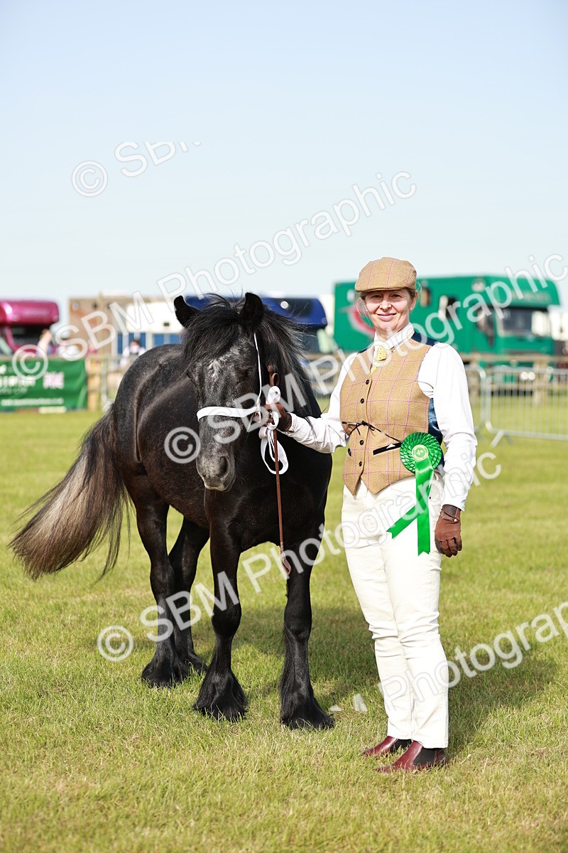 SBM_00772 - Class 14-23 - Mountain & Moorland In Hand Non Welsh