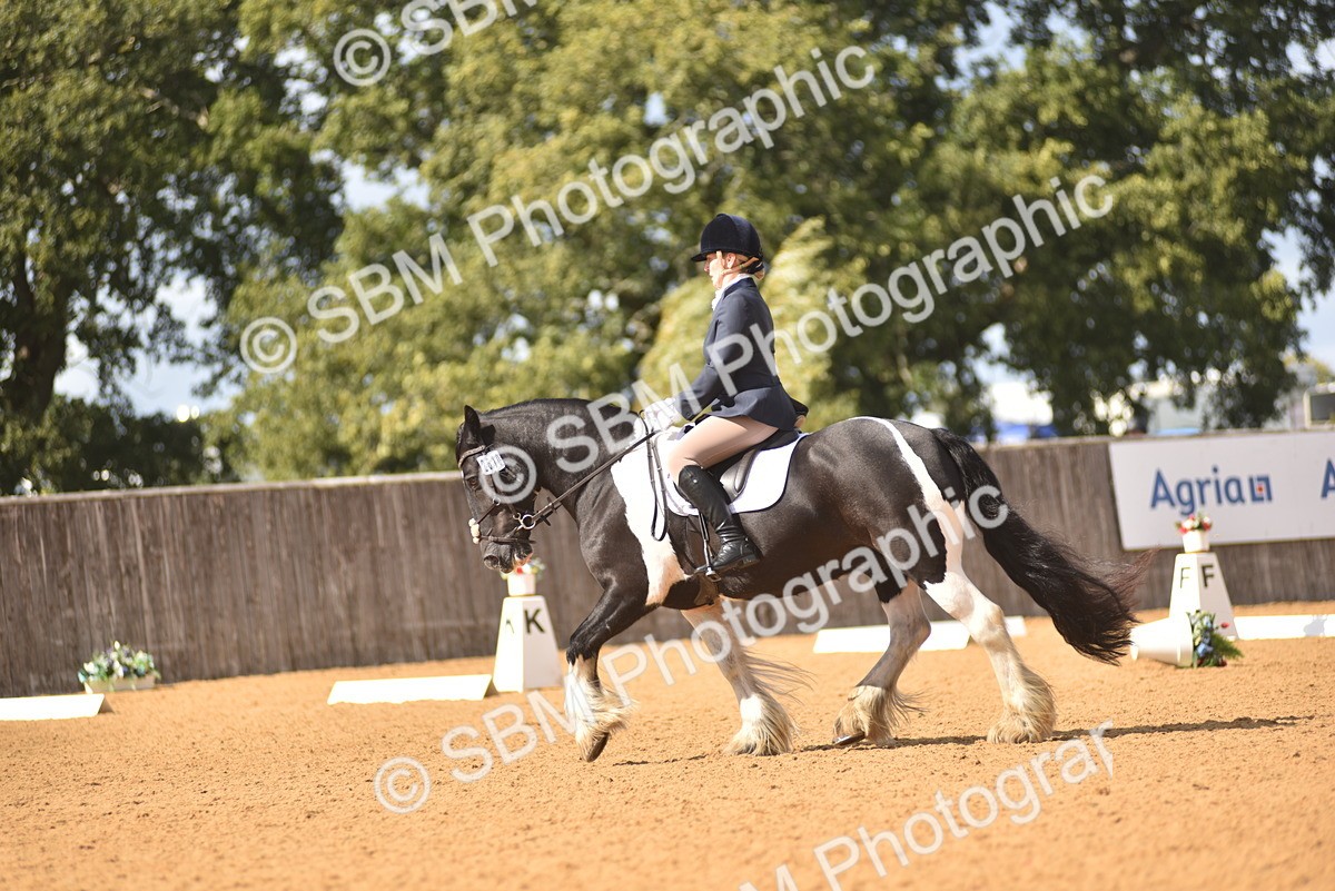 SBM_22494 - D13 - Grand Tour Championship Prelim 3