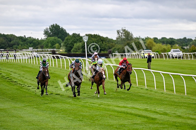 110626-Race 1-Collateral Damage-4069 - Race 1 18.22pm British EBF Maiden Stakes
