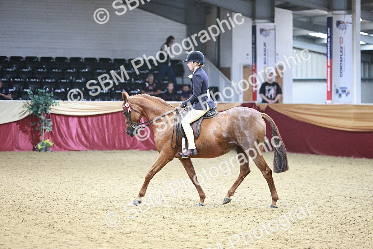 SBM_03459 - Class 6A Area Ridden Pre-Vet
