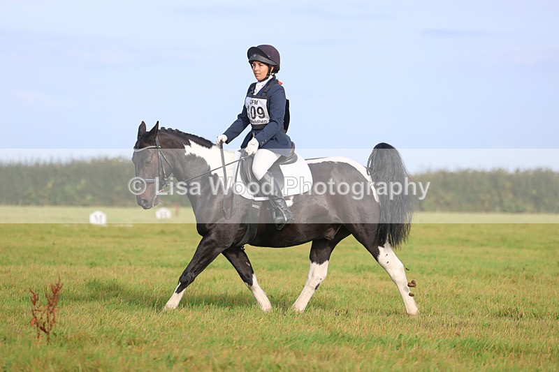 3E7A5467 - Class 1: Trebudannon Open: Dressage