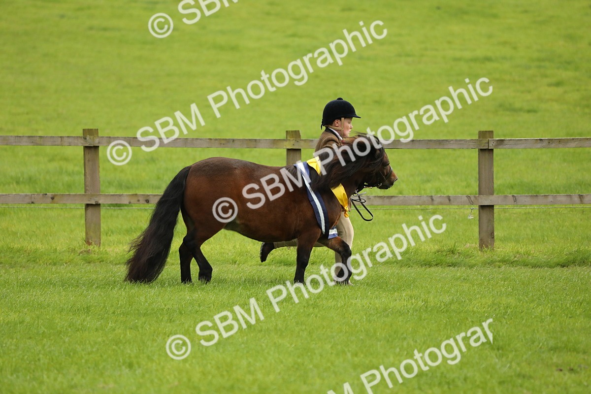 SBM_75411 - Equitation Supreme Championship
