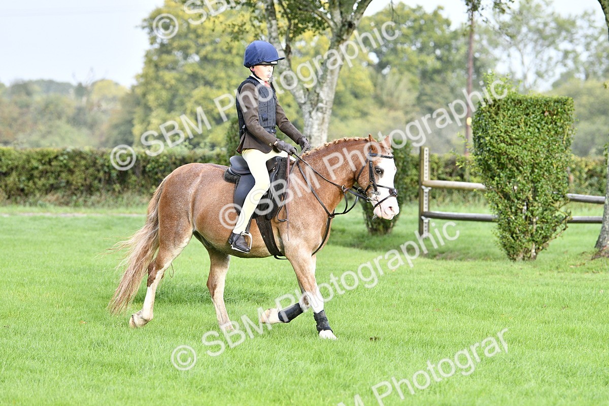 SBM_35410 - S30 - Nursery Stakes Working Hunter Pony