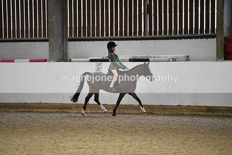 WJ5_7405 - Class 11 Ridden PC - RC Pony