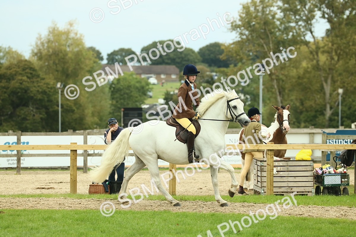 SBM_72169 - S60 - Mountain & Moorland Ridden Large Breeds
