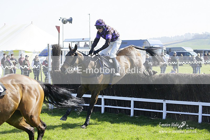 PtP 190322 289 - Wilton Hunt PtP Milborne St Andrew 19/03/22