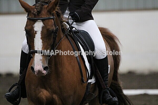 SIAL4290 - CAbin Dressage 5th july 2025
