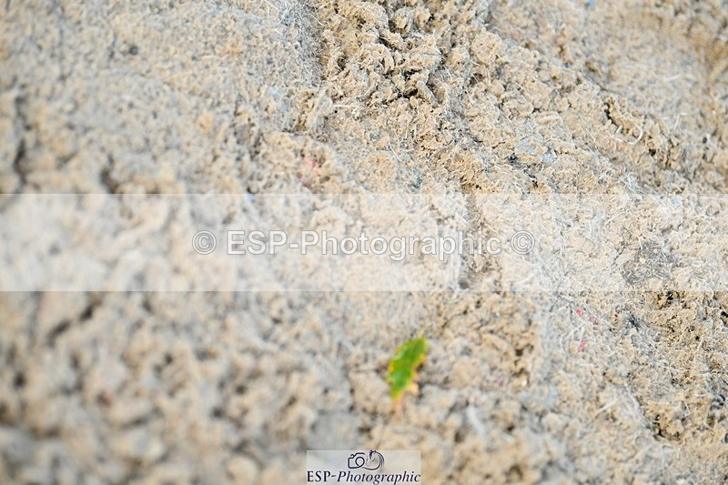 251004A-113015-00646 - Classes 4 & 5 50cm