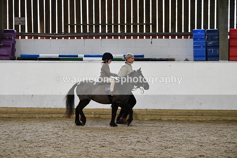 WJ5_6604 - Class 10 Childs Pony