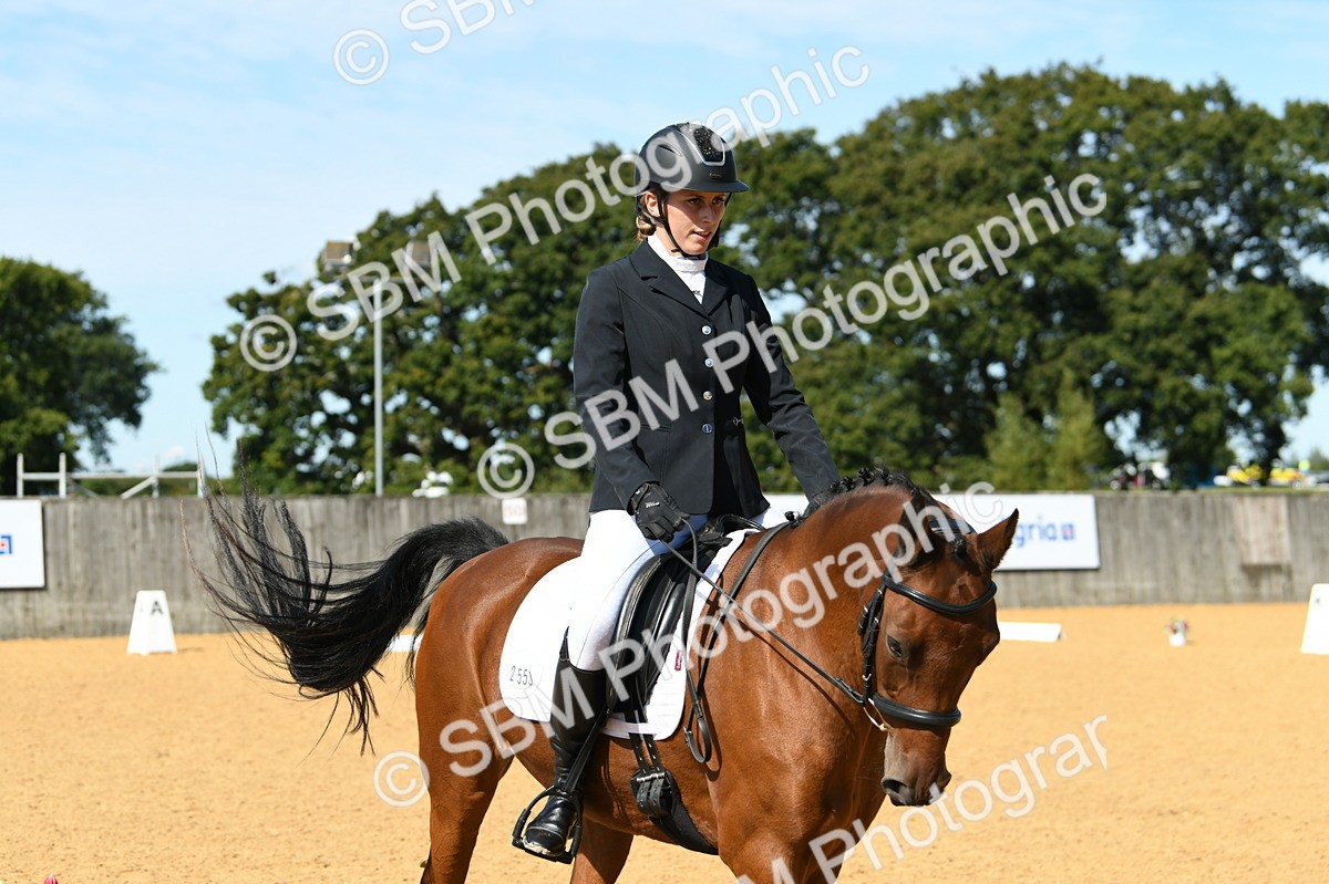 SBM_20750 - D13 - Grand Tour Championship - Prelim 12