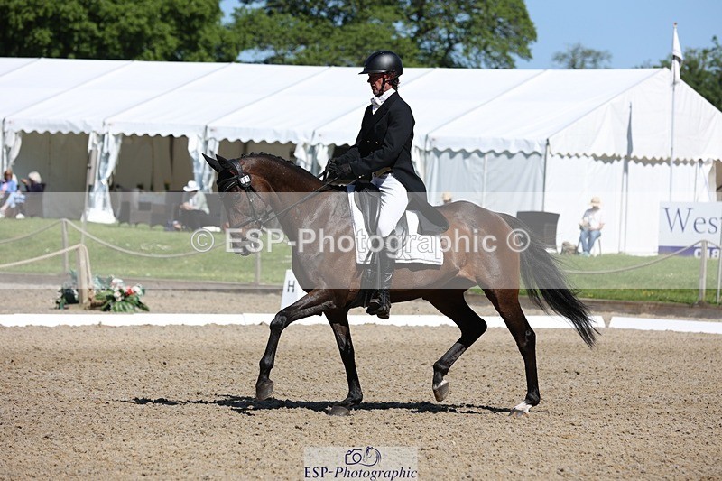 230526-102516-05255 - 361-FINCH_FANCY-Ben_Lee_Liles-WEDTrotUp+DR