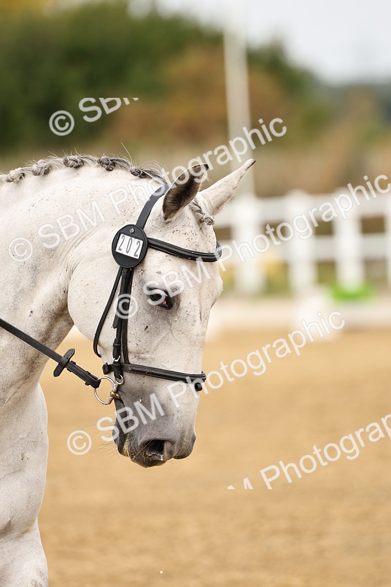 SBM_012327 - Class 2 - Prelim 5