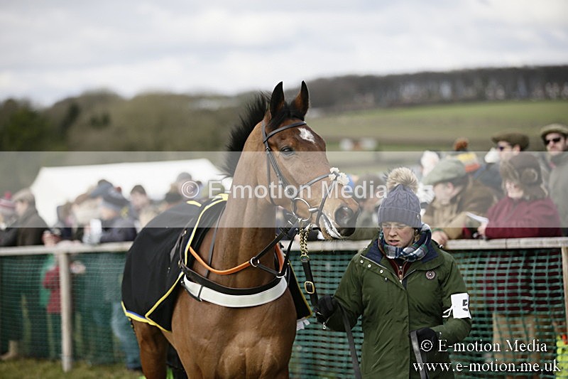 PtP 040218 7 - Point-to-Point Milborne St Andrew 04/02/18