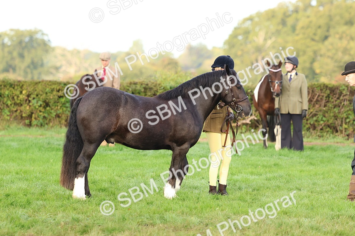 SBM_54865 - S39 - Starters In Hand Showing