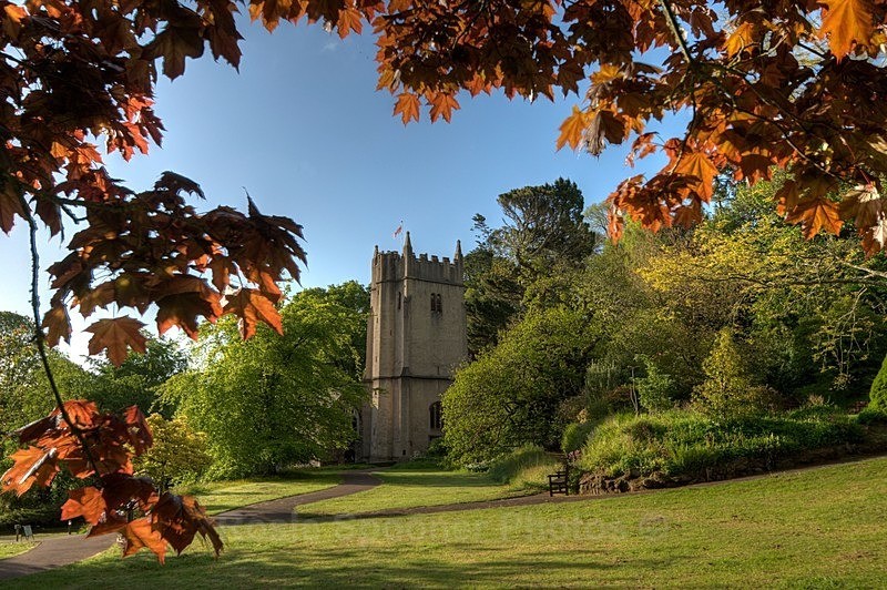 Cockington Church through the trees